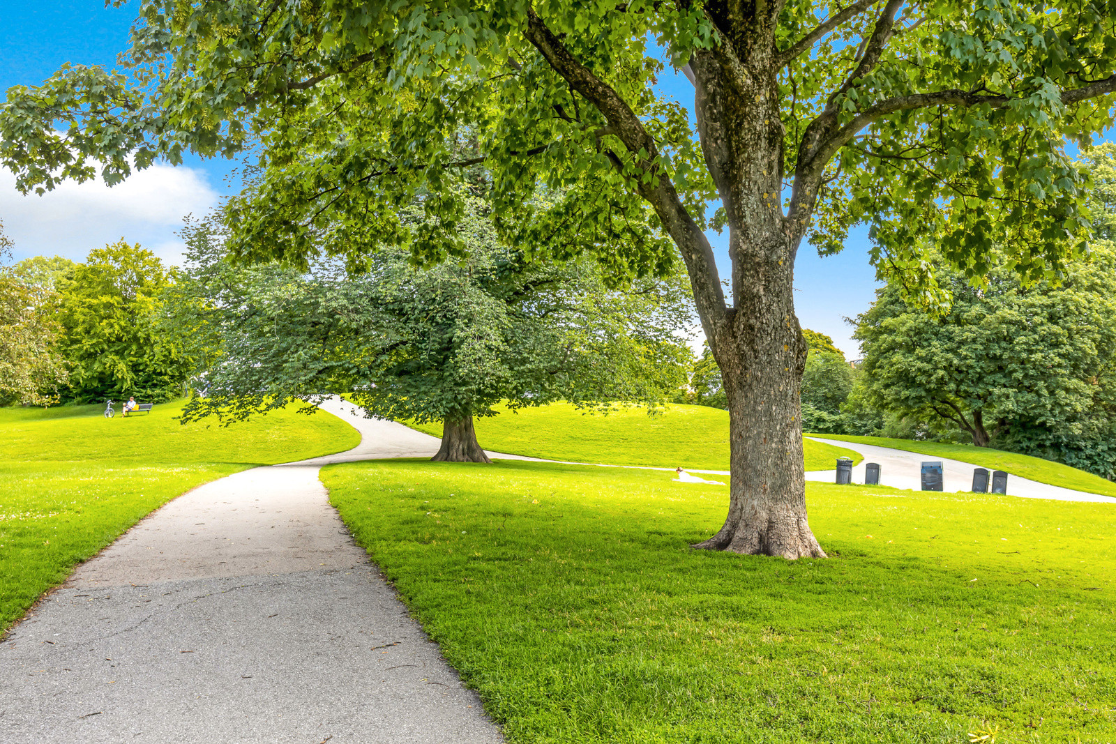 St. Hanshaugen  i nærområde