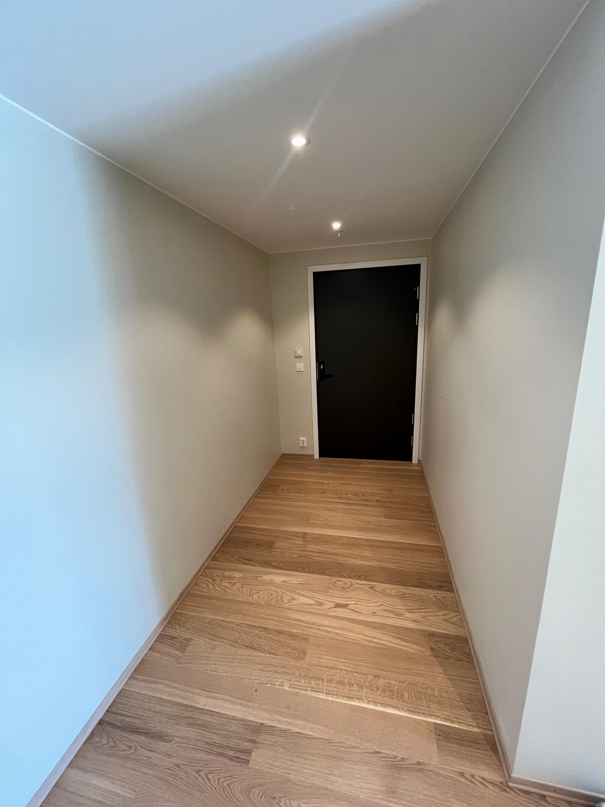 Inngangsparti med gang