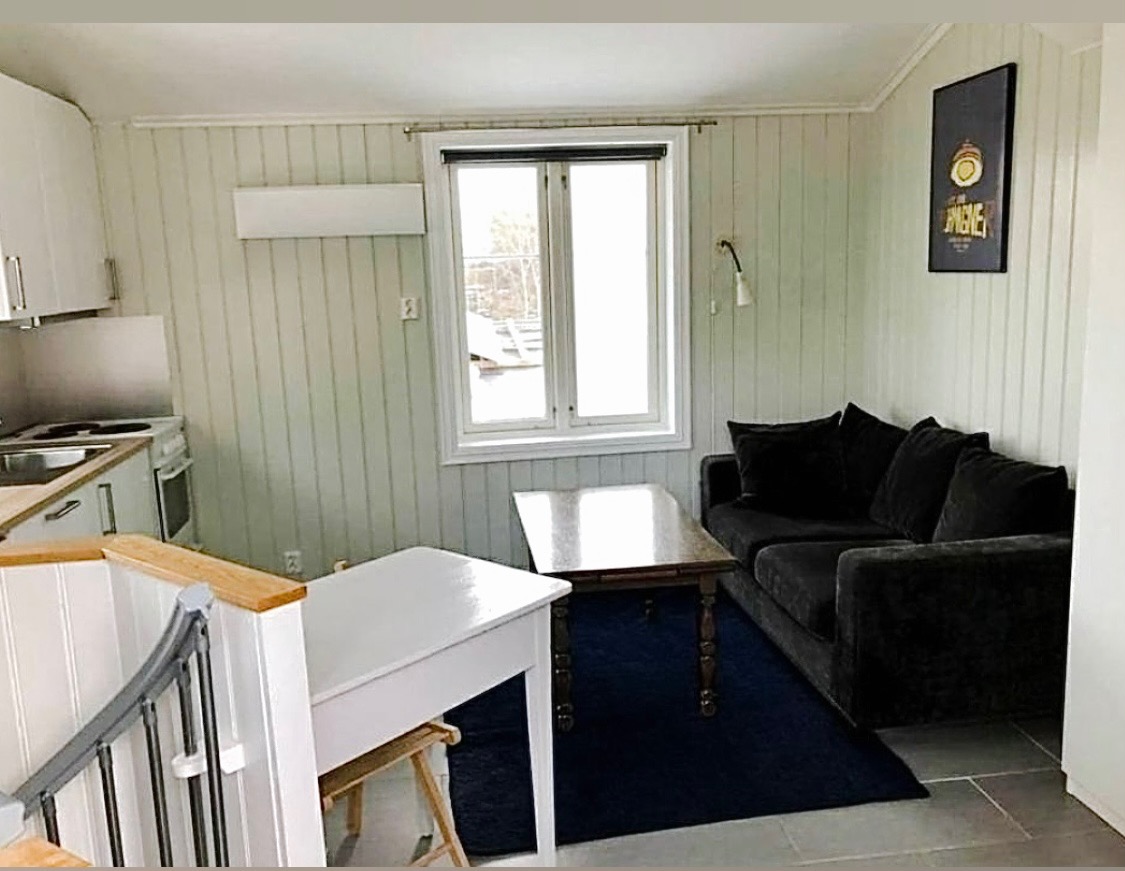 Hovedrom i leiligheten har åpen kjøkkenløsning. 2-seters sovesofa (erstatter avbildet sofa). 