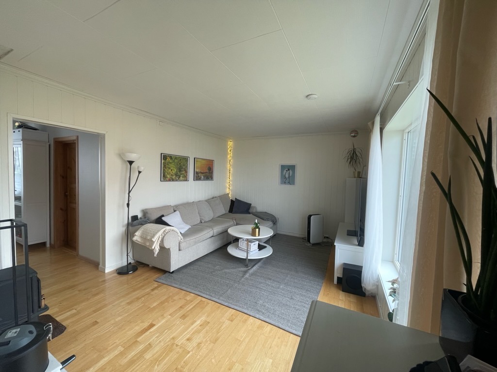 Lys og romslig stue med store vinduer som slipper inn rikelig med naturlig lys. God plass til både sofakrok og underholdning.