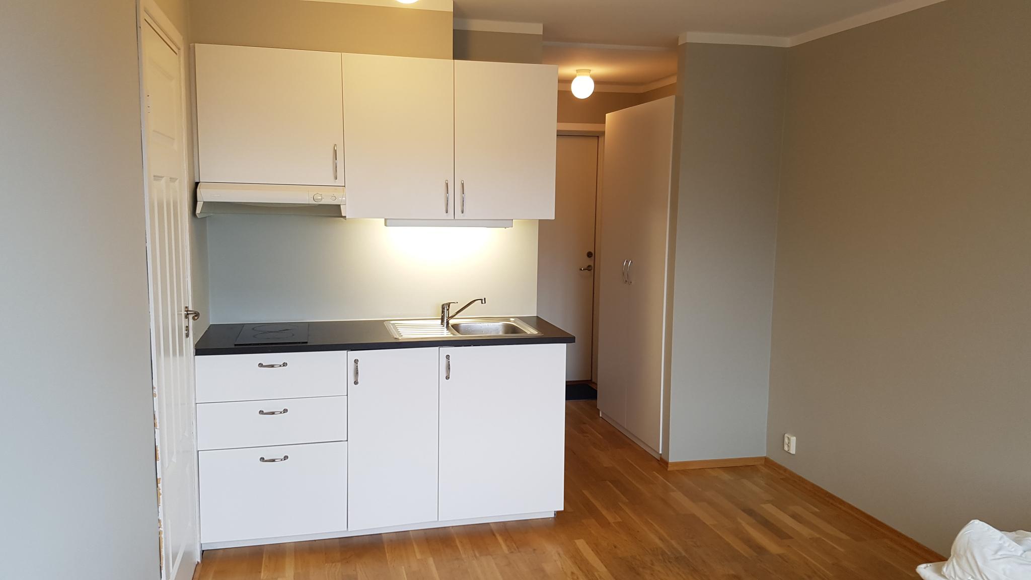 Kjøkken (kjøleskap og mikrobølgeovn ikke på bildet)