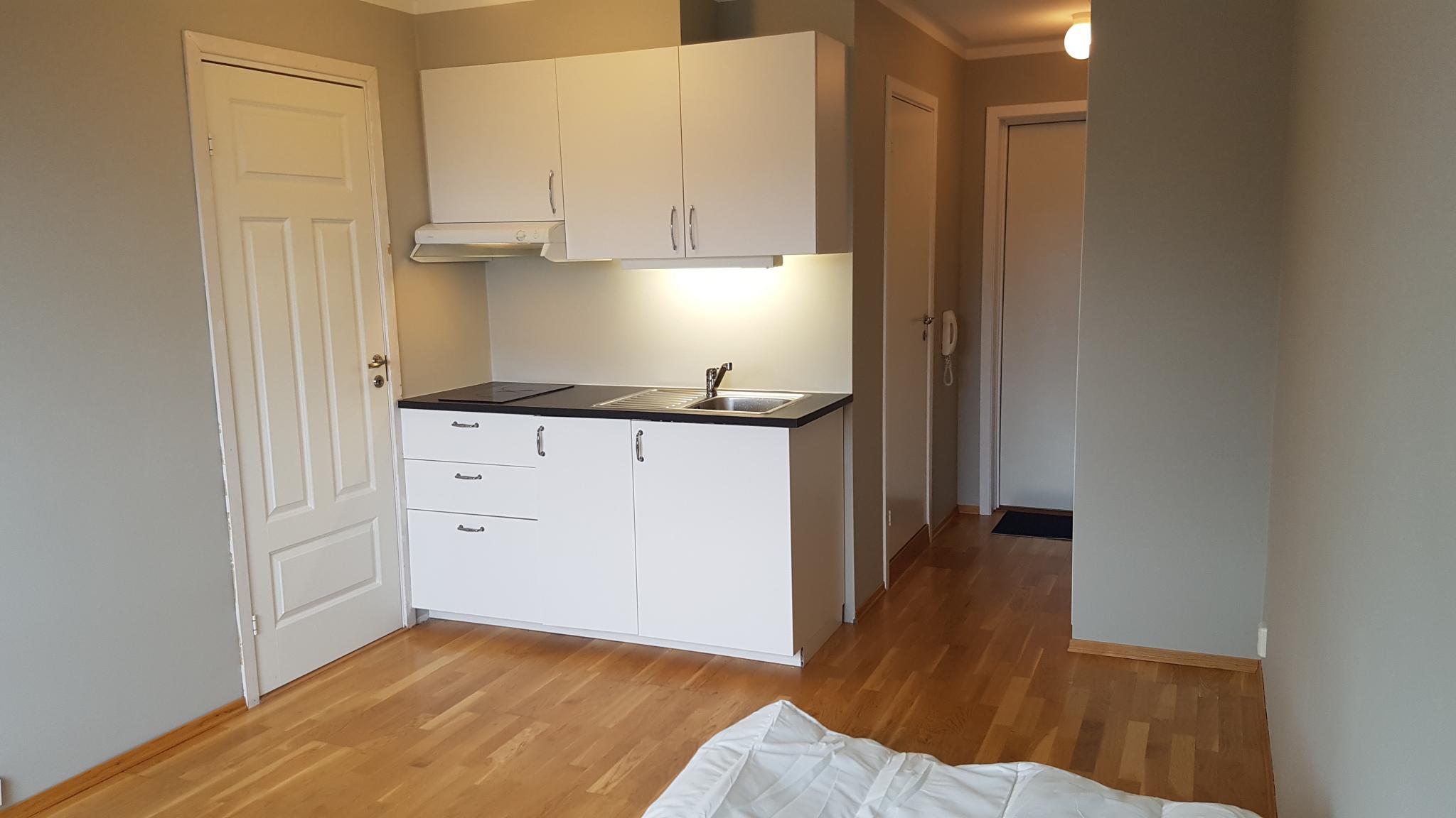 Kjøkken (kjøleskap og mikrobølgeovn ikke på bildet)