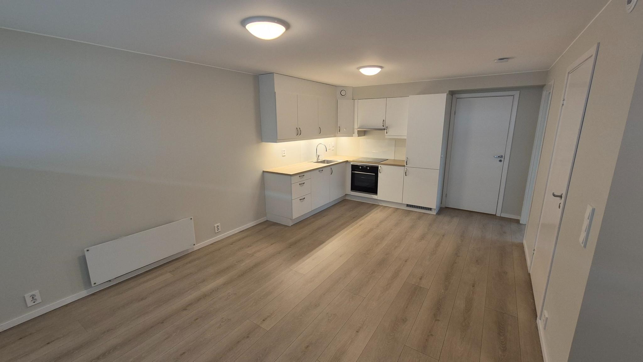 Ca. 21 m2: Stue/kjøkken.