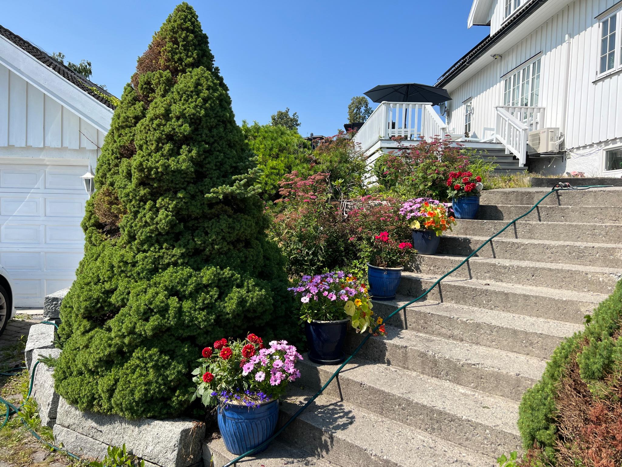 Fredelig hage med mye blomster, park opparbeidet. 