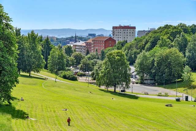 Torsov park