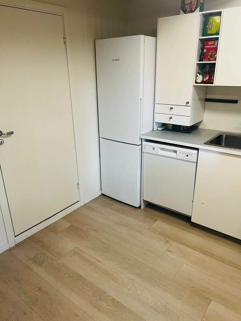 Kjøkken med  kombi kjøl/fryseskap og oppvaskmaskin