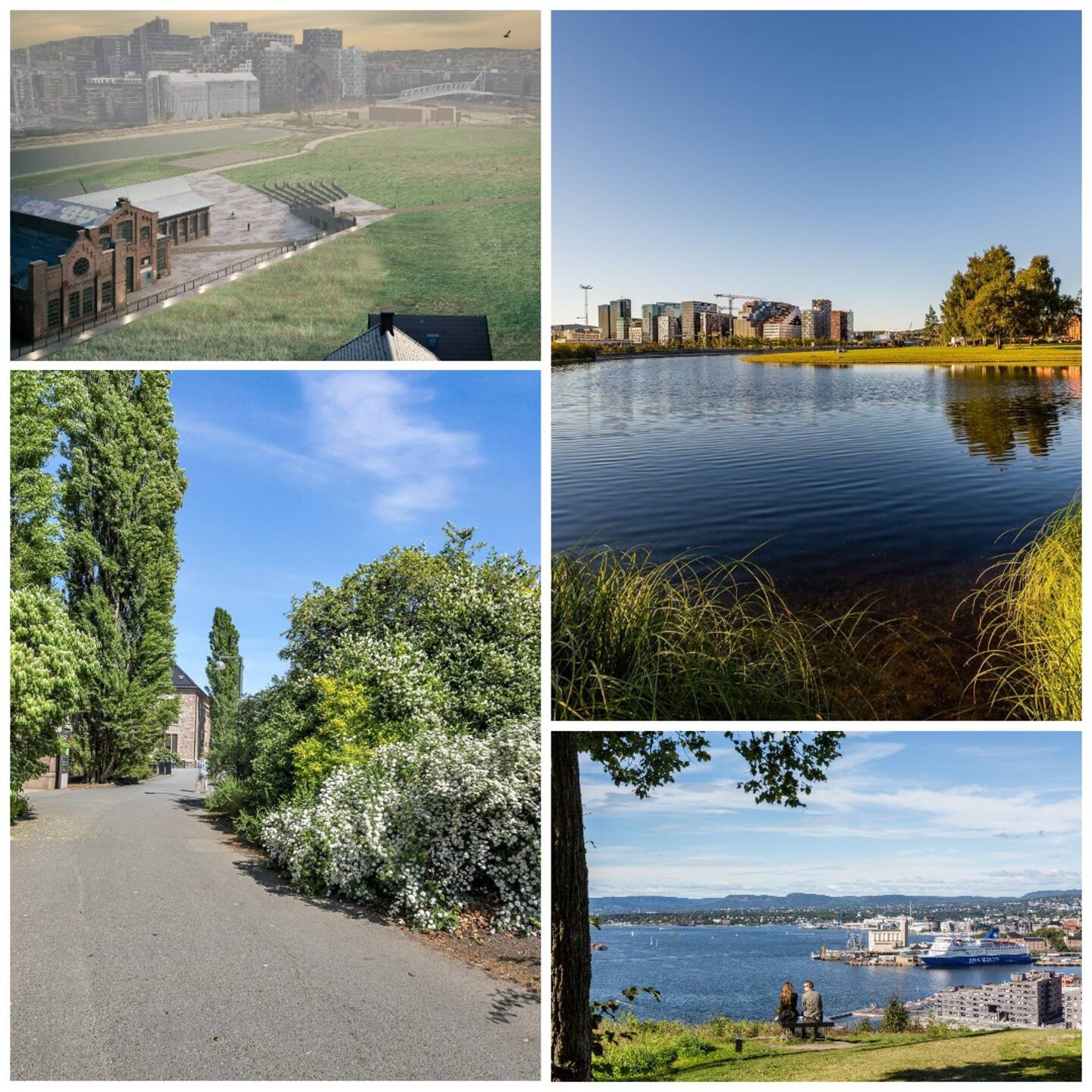 Tur muligheter i nærheten