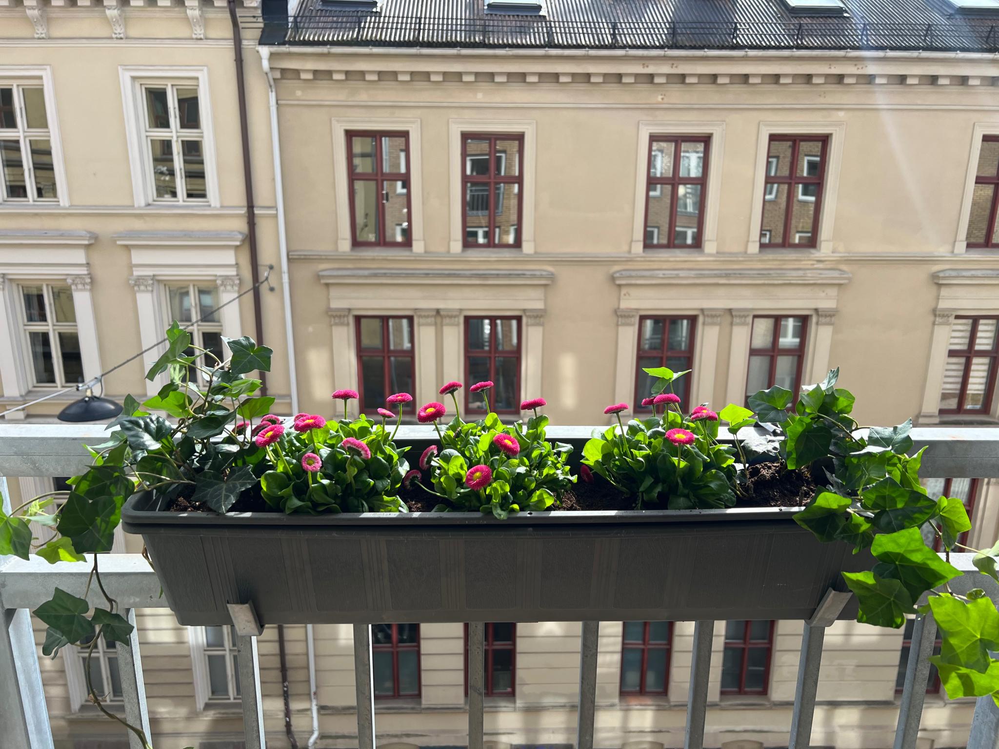 Hyggelig utsikt i stua 