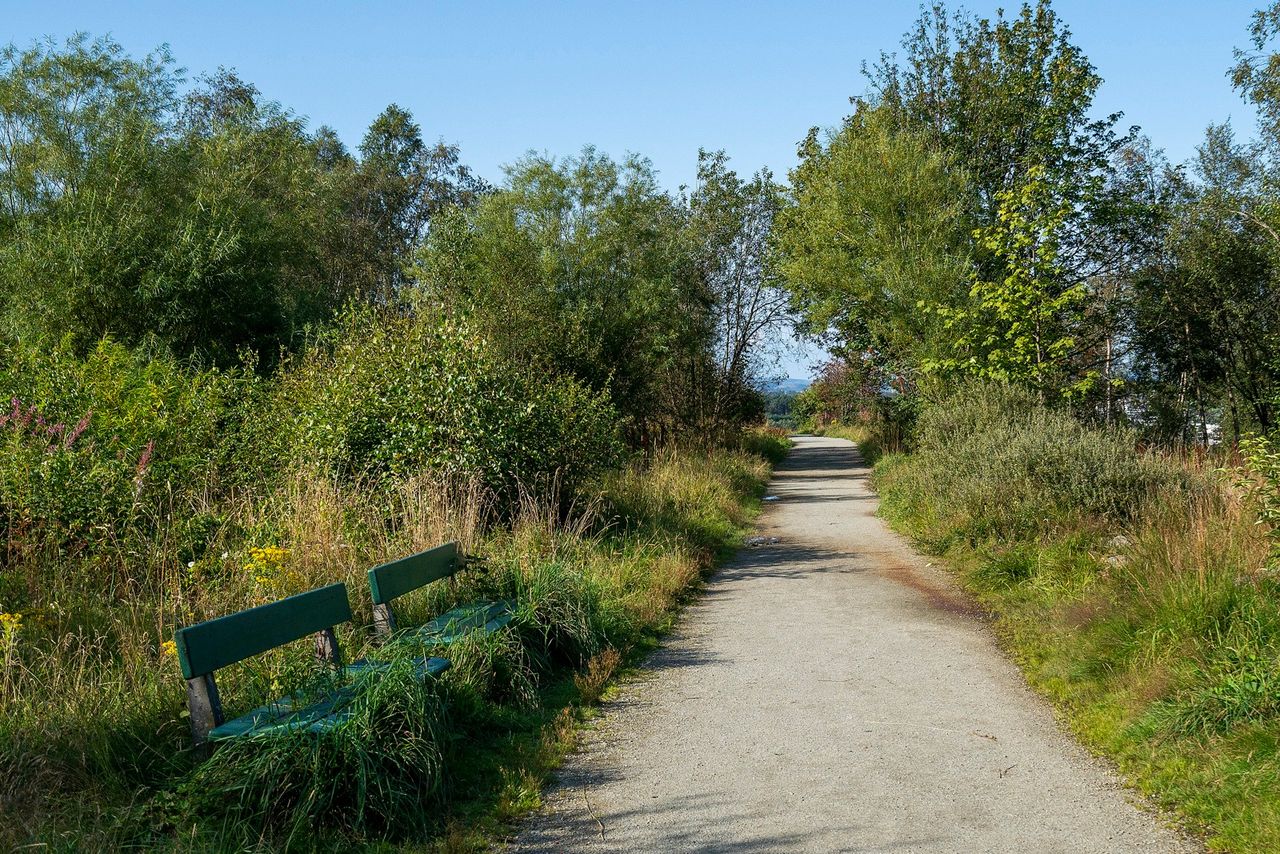 Fine turområder