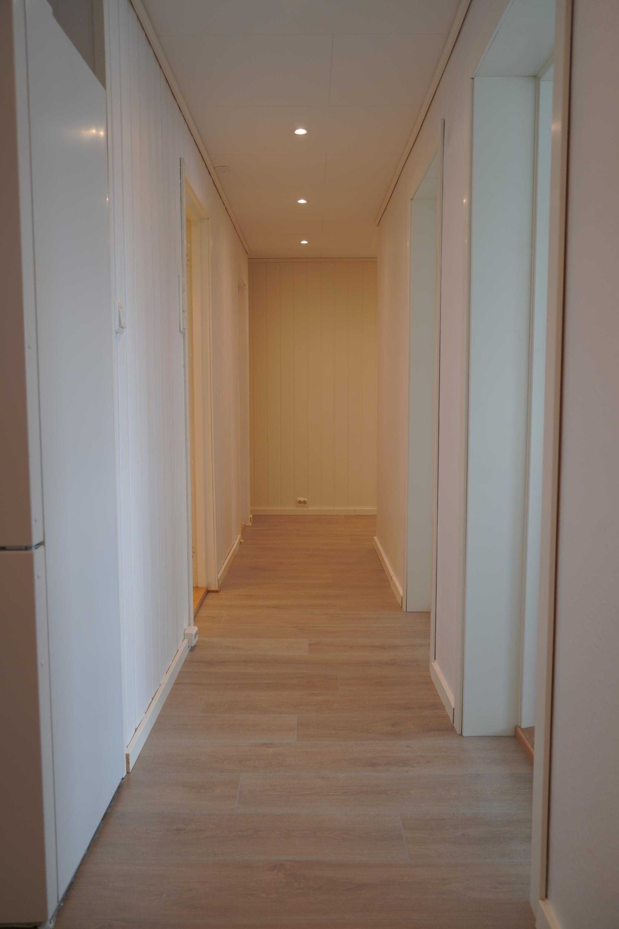 gang