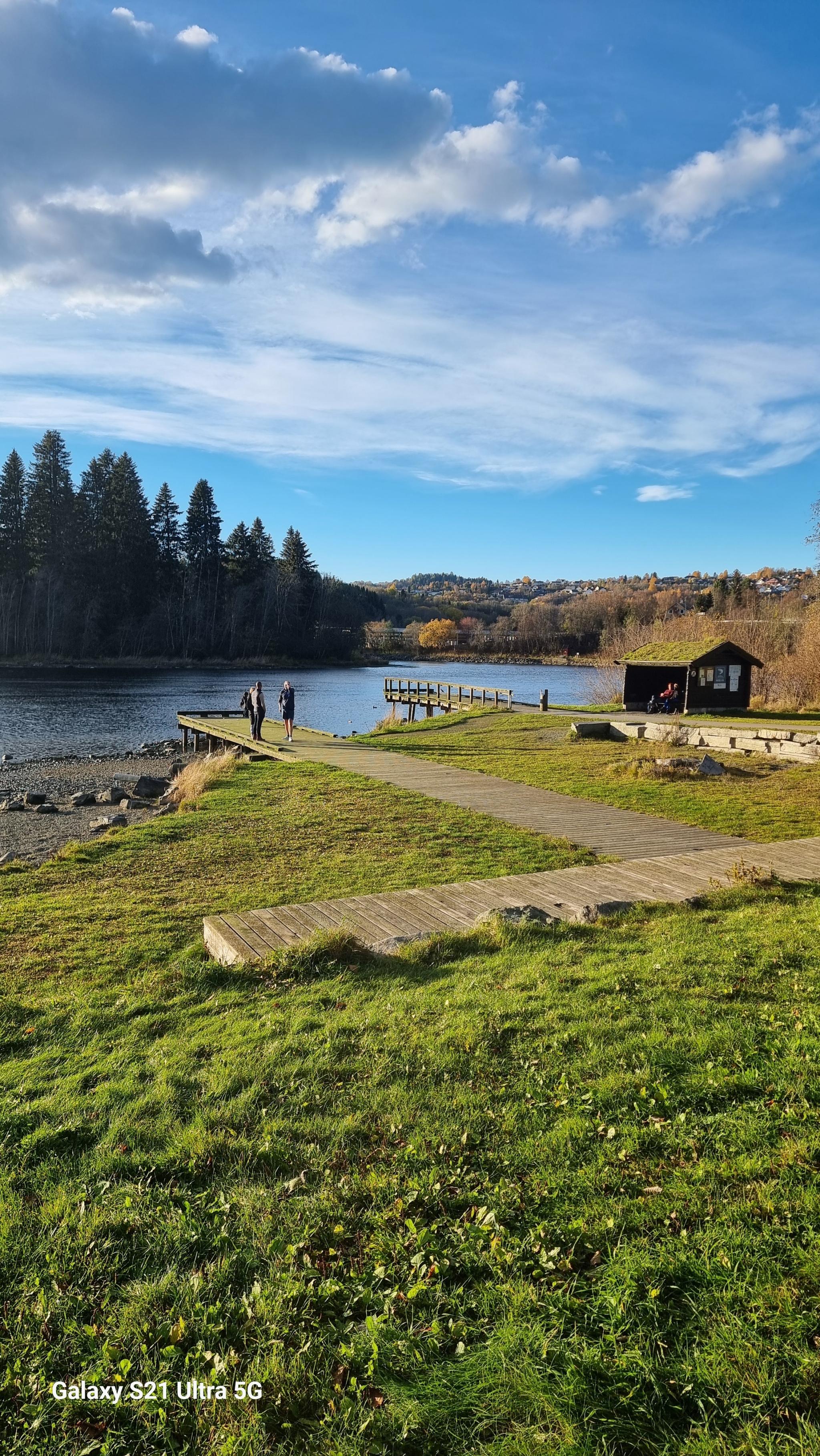 Nedre Leirfoss