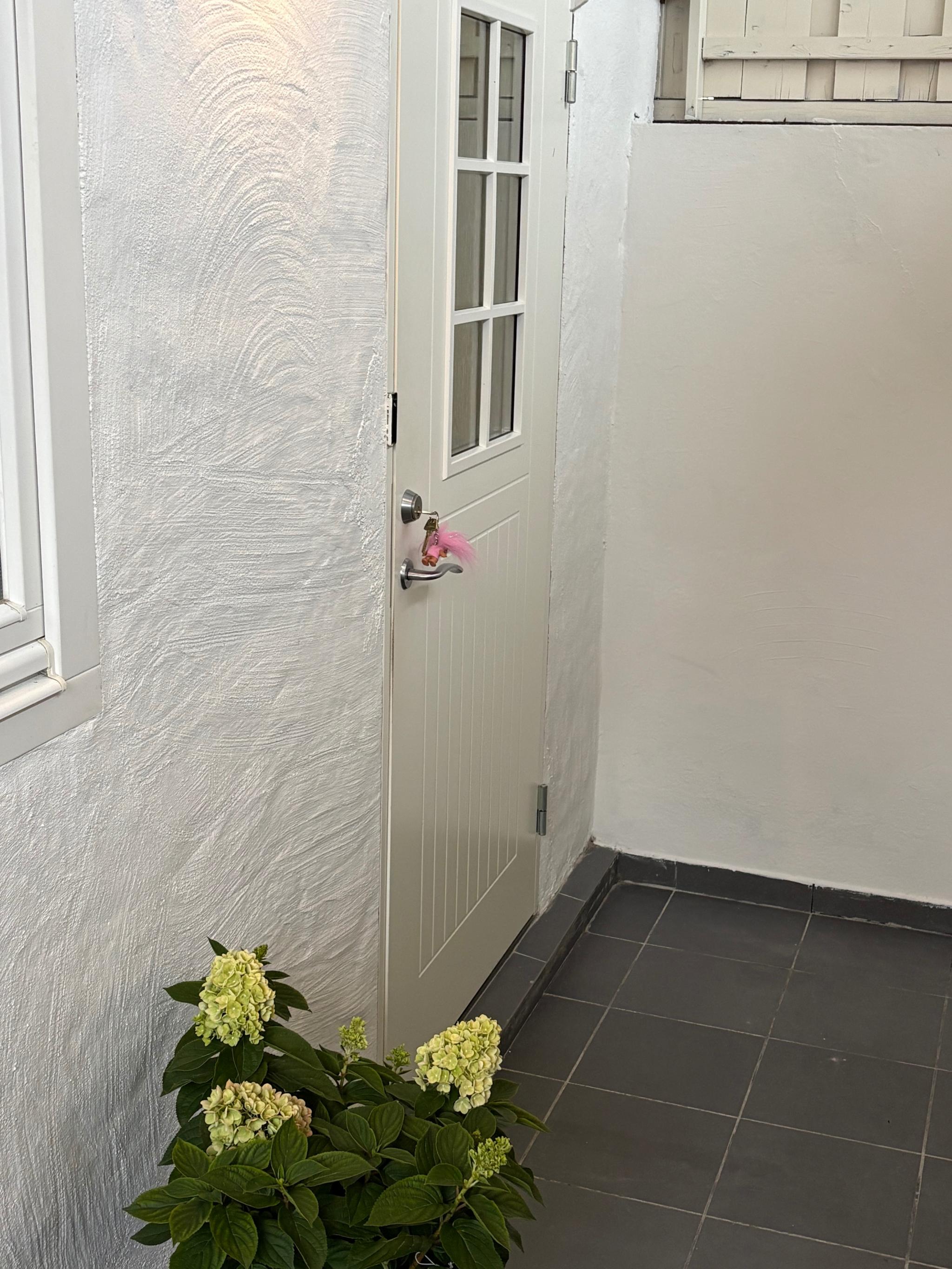 Hoveddør til leiligheten 