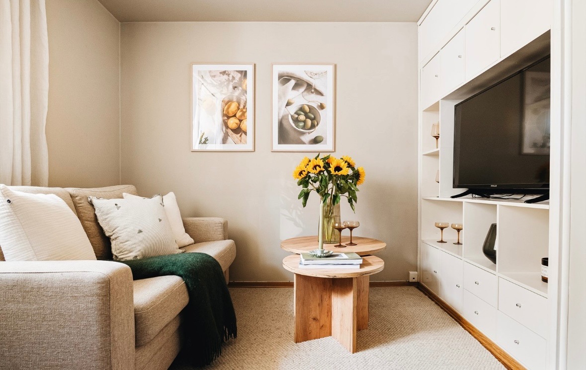 Kun tv, oppbevaringsskap og sofa som følger med.