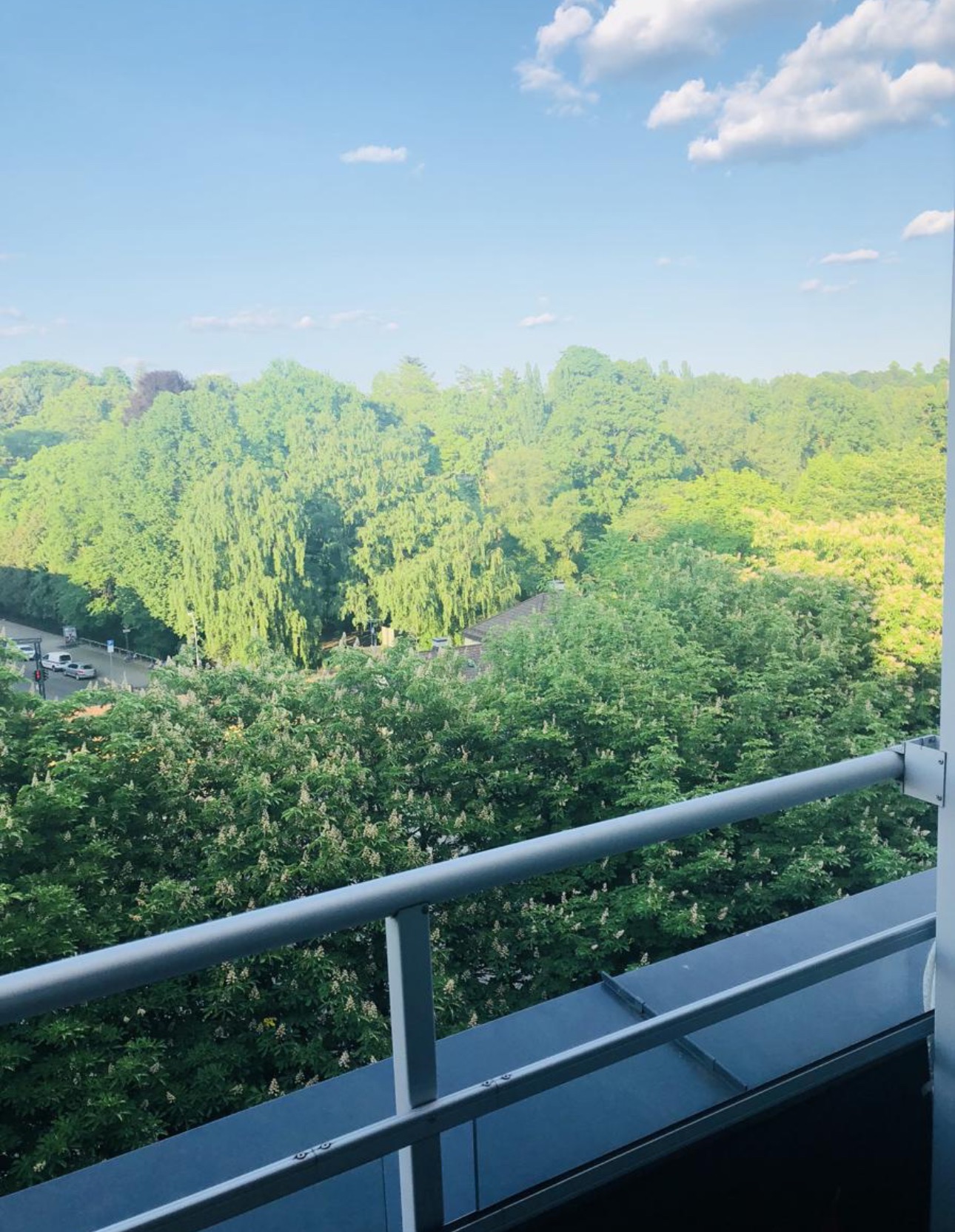 Utsikten botanisk hage 