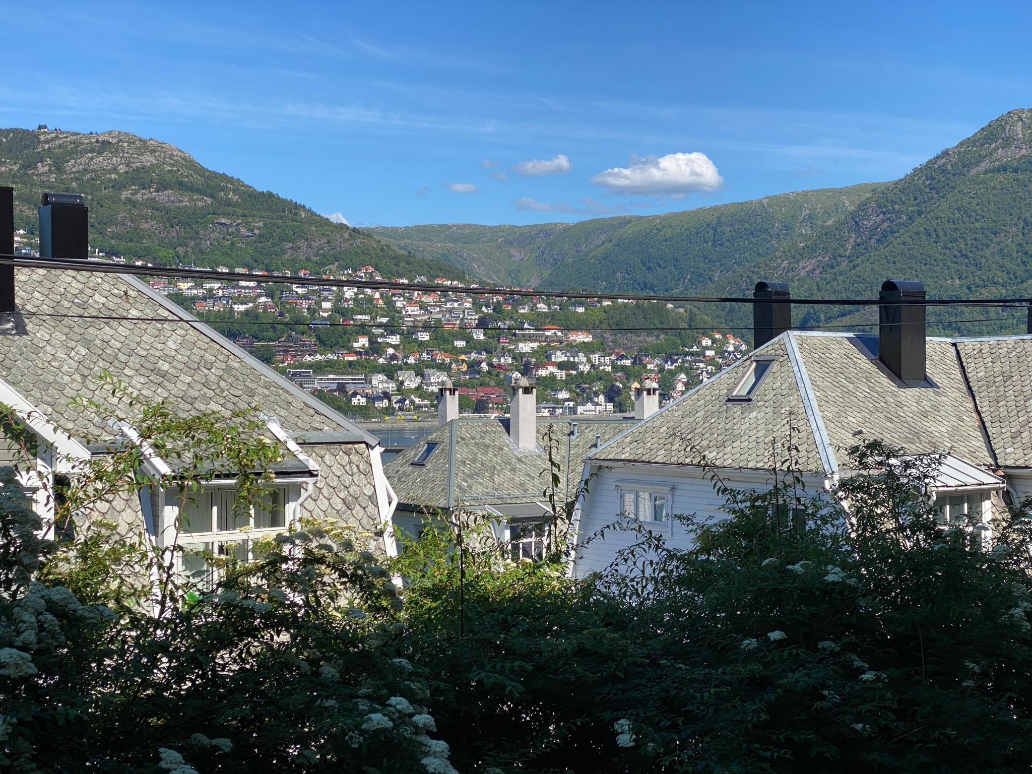 Utsikt mot Vidden og Bergensdalen, fra terrassen. 