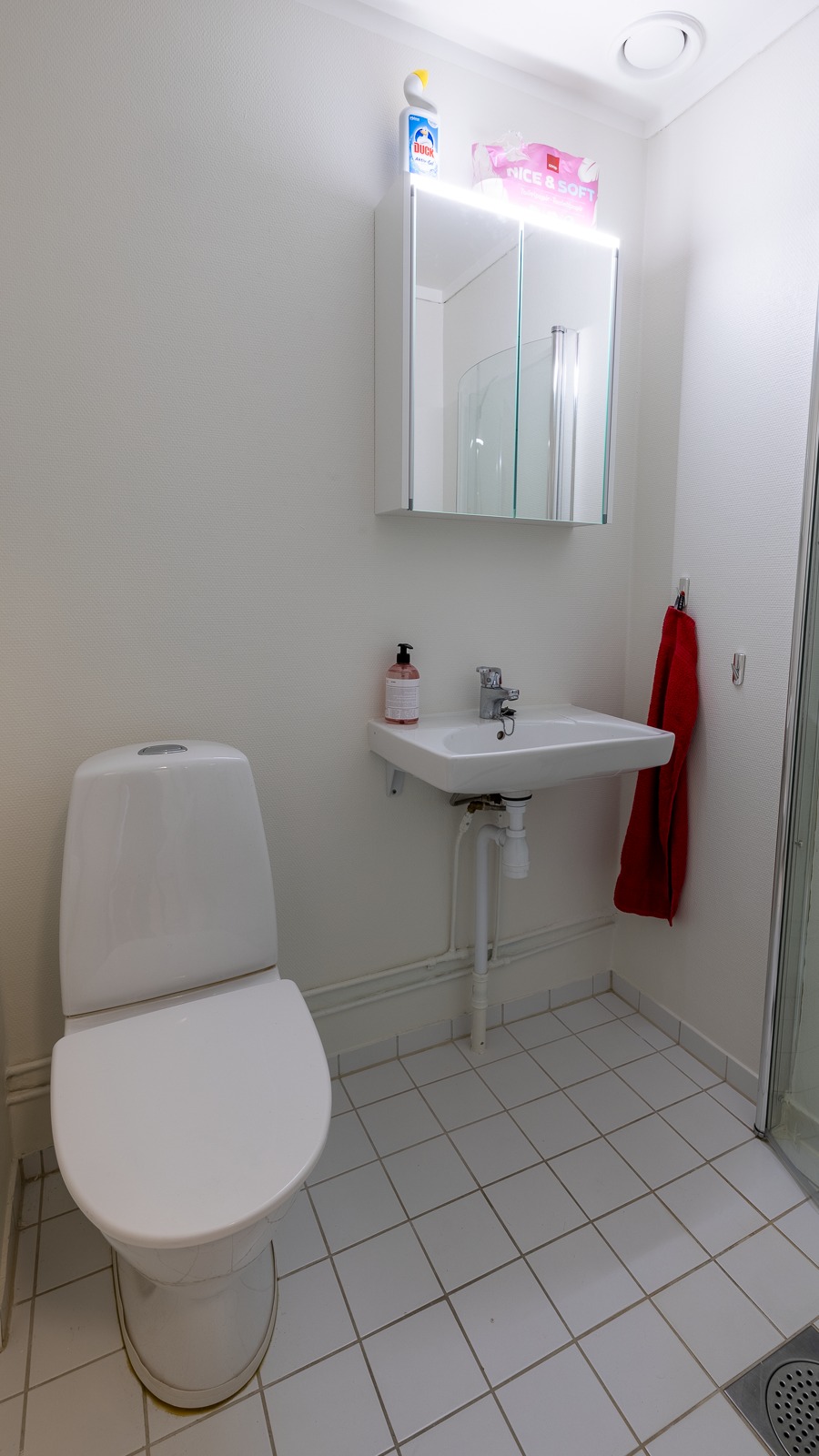 badet har toilett, vask, speilskap og dusjhjørne