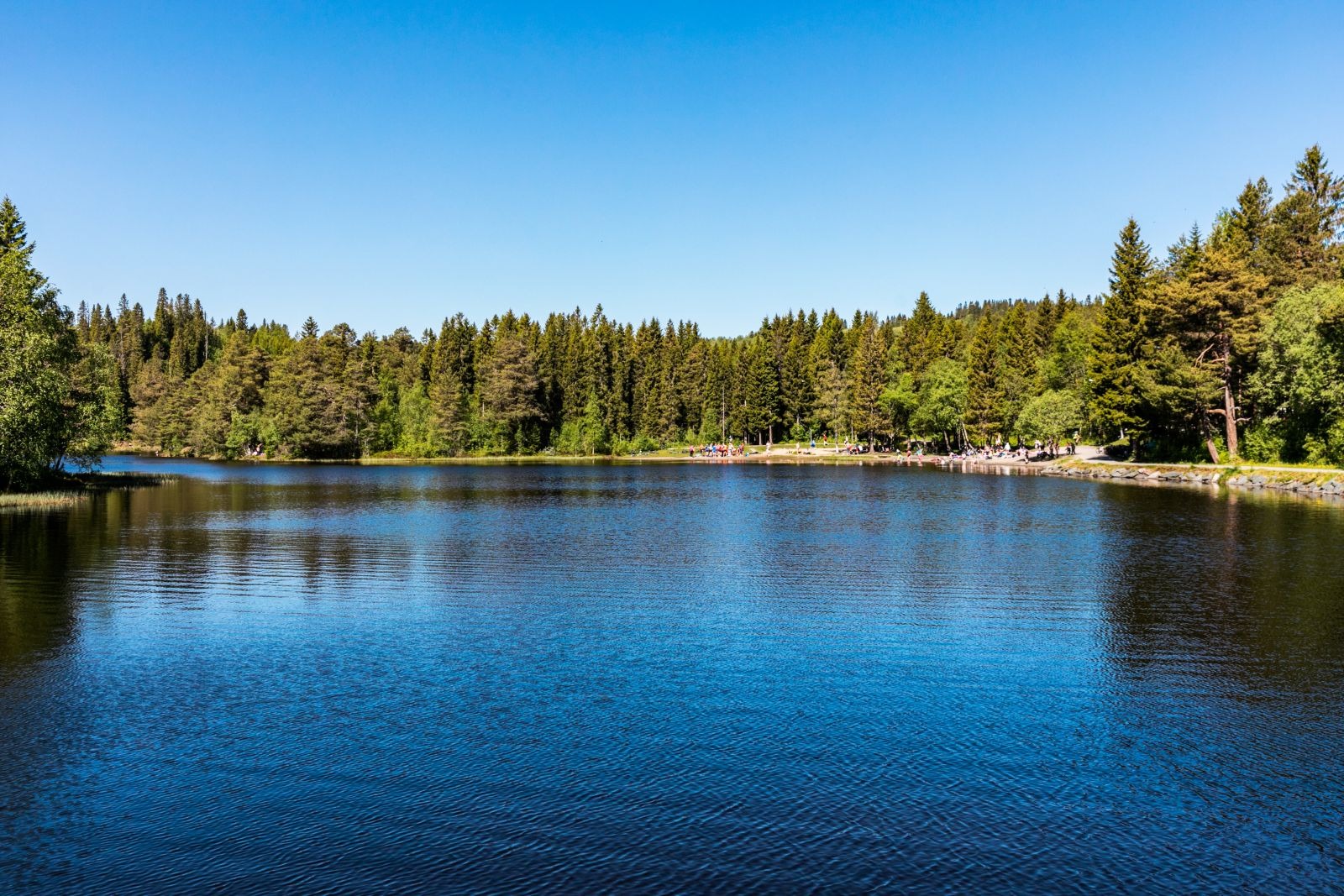 Kyvannet er et populært og idyllisk markavann i nærheten, og fungerer som et naturlig samlingspunkt året rundt. Om sommeren byr vannet på fine badeplasser, brygger og gode muligheter for avslapning langs vannkanten. Området er godt tilrettelagt med turstier rundt vannet, perfekt for både rolige spaserturer og trening.

På vinterstid er Kyvannet et flott utgangspunkt for skiturer i Bymarka, med preparerte løyper like i nærheten. Her får du enkel tilgang til naturopplevelser rett utenfor døren – en stor fordel for deg som ønsker en aktiv og naturnær livsstil.