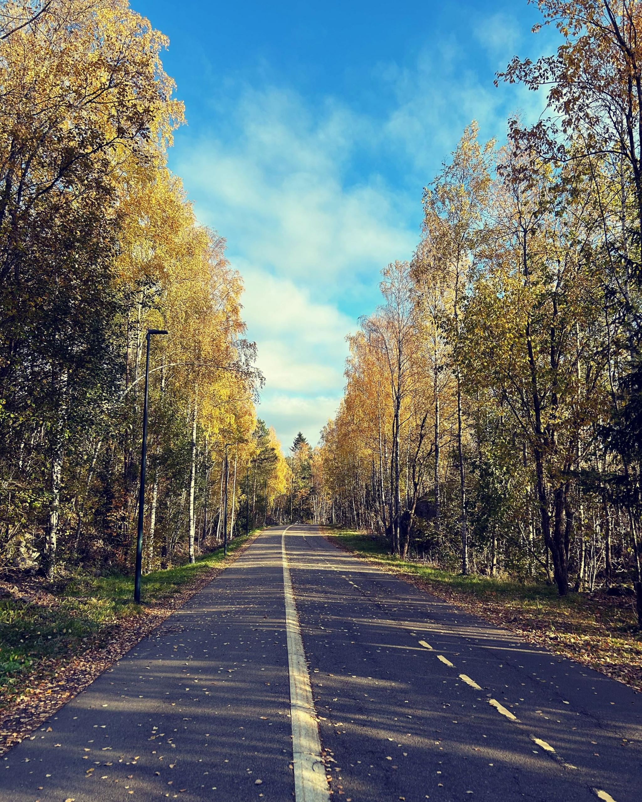 Koselig gangvei til togstasjon