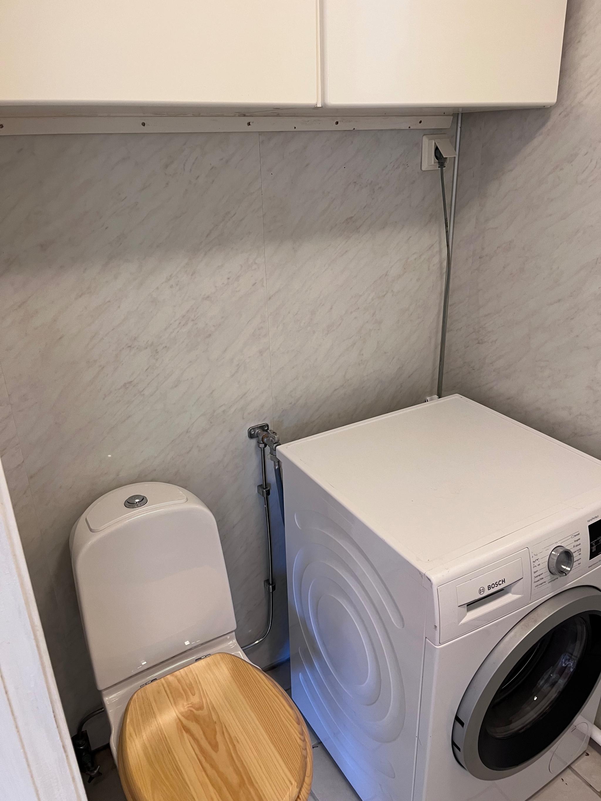 Toalett og vaskemaskin 