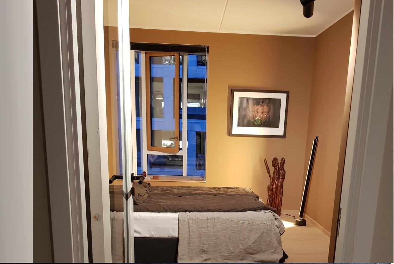 Hovedsoverom sett fra entre. Hele rommet, tak og vegger er malt i den lune fargen Adventure. Vindu går ut mot Operagata/Eufemias hage som normalt er stille og rolig.

MERK: Møblene følger ikke med
