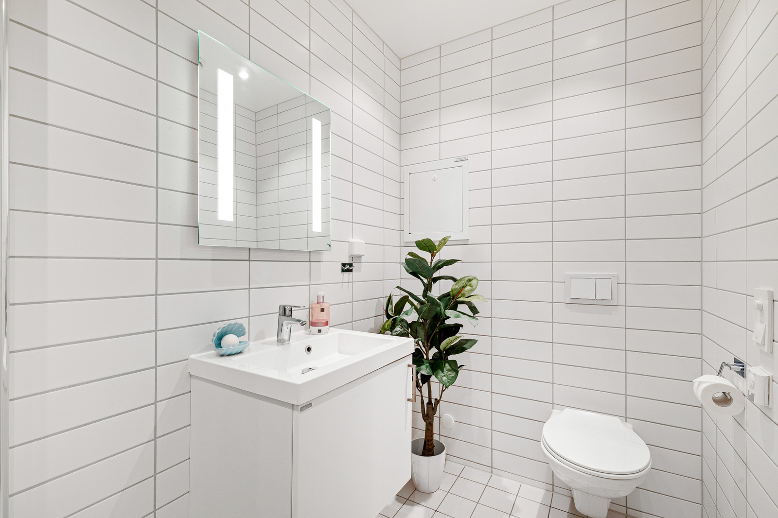 Det medfølger vaskemaskin (plassert der planten er avbildet)