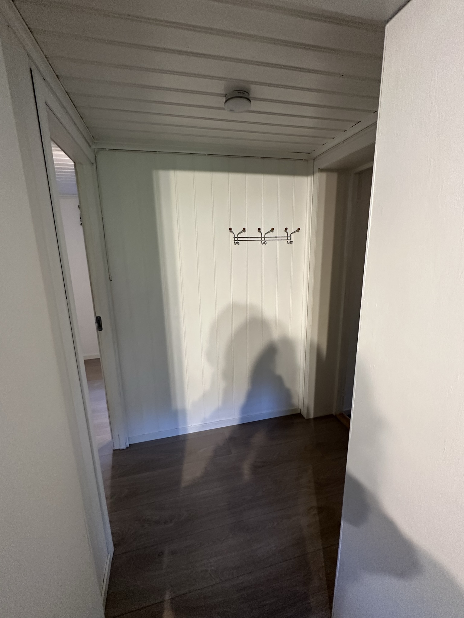 Gang mellom stue og soverom.