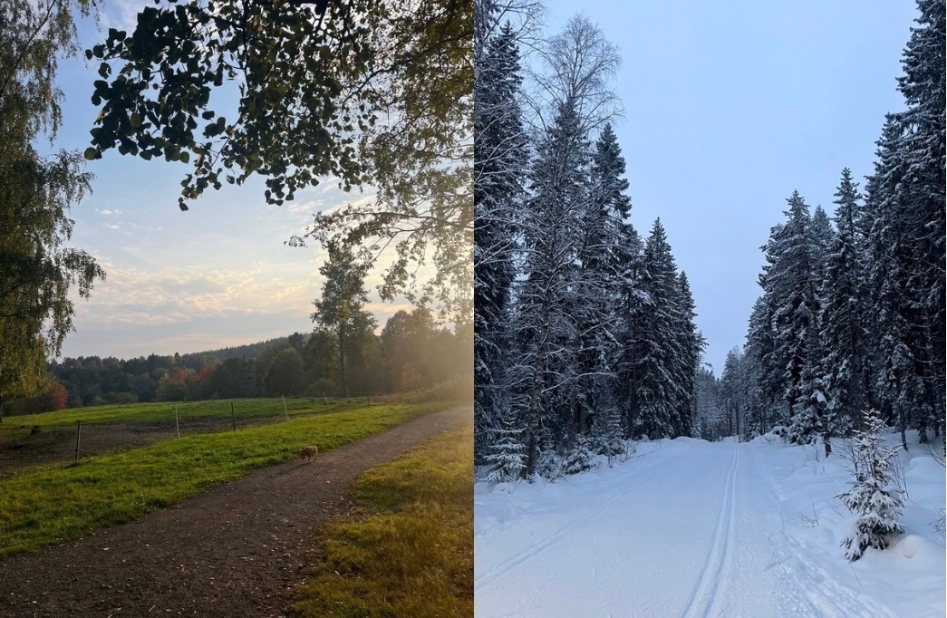 Kort vei til Lillomarka. Her er det uendelig med turstier og flotte preparerte skiløyper om vinteren.