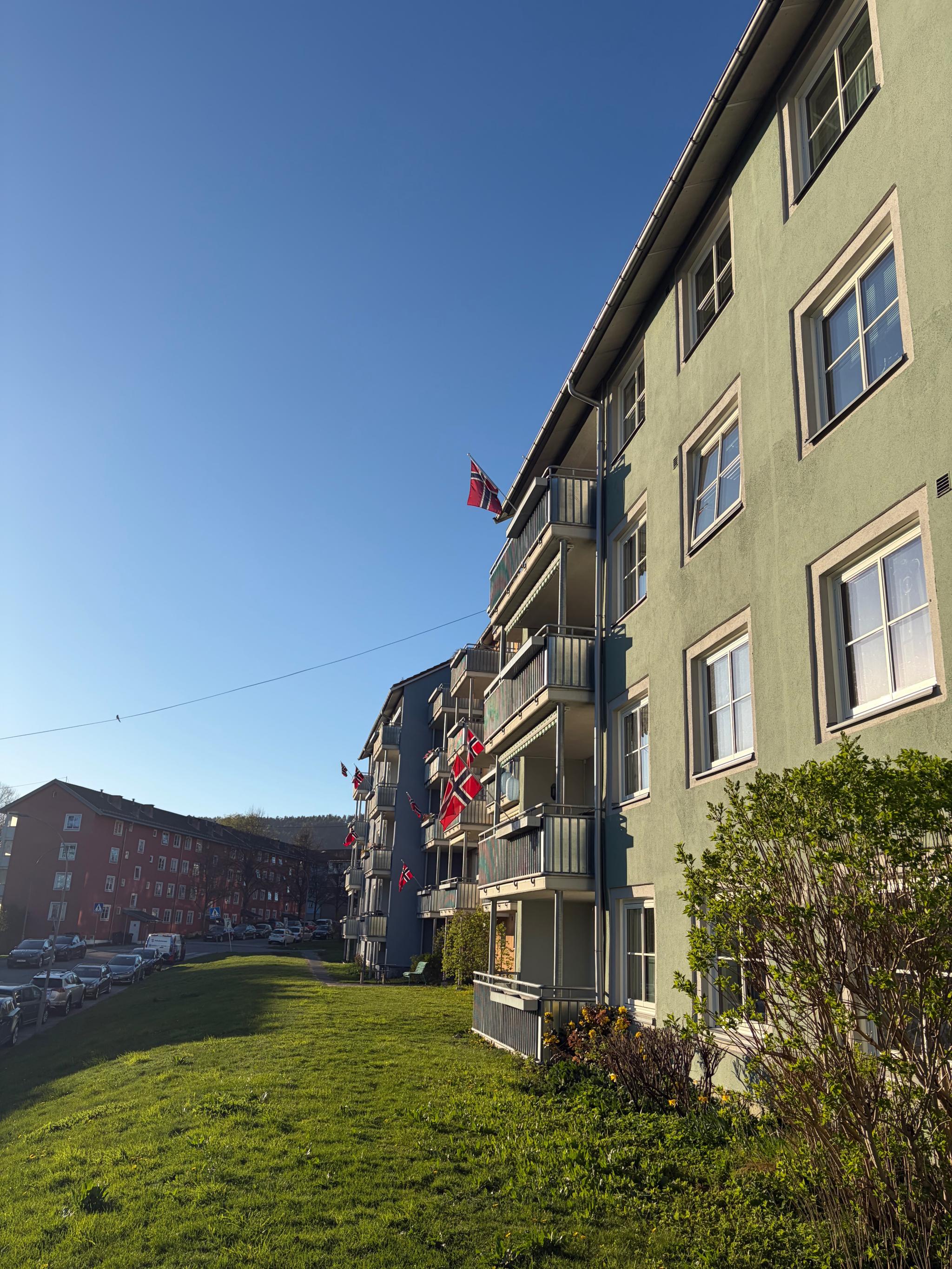 Stor gressplen nedenfor leiligheten.