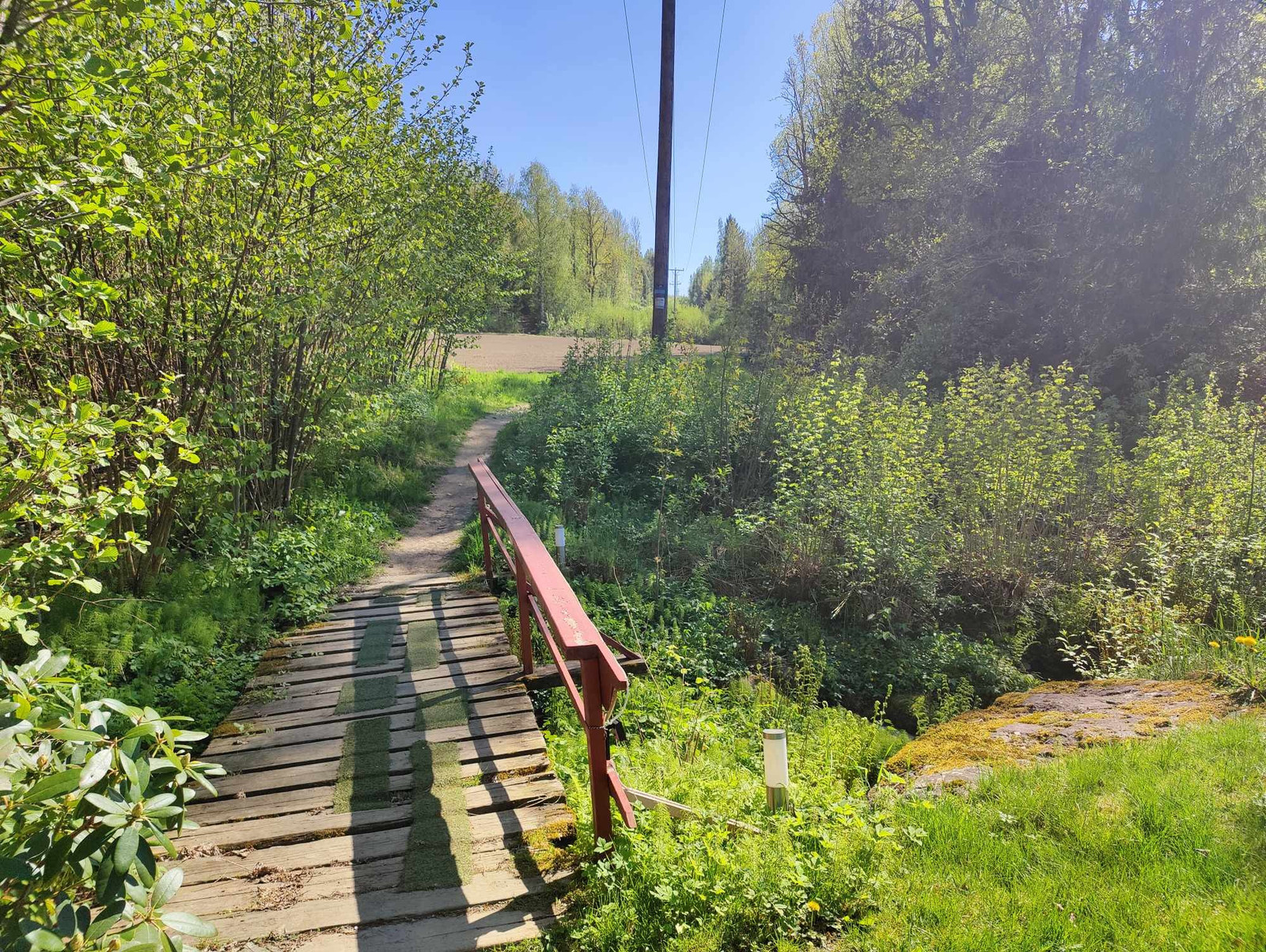 Flotte turmuligheter