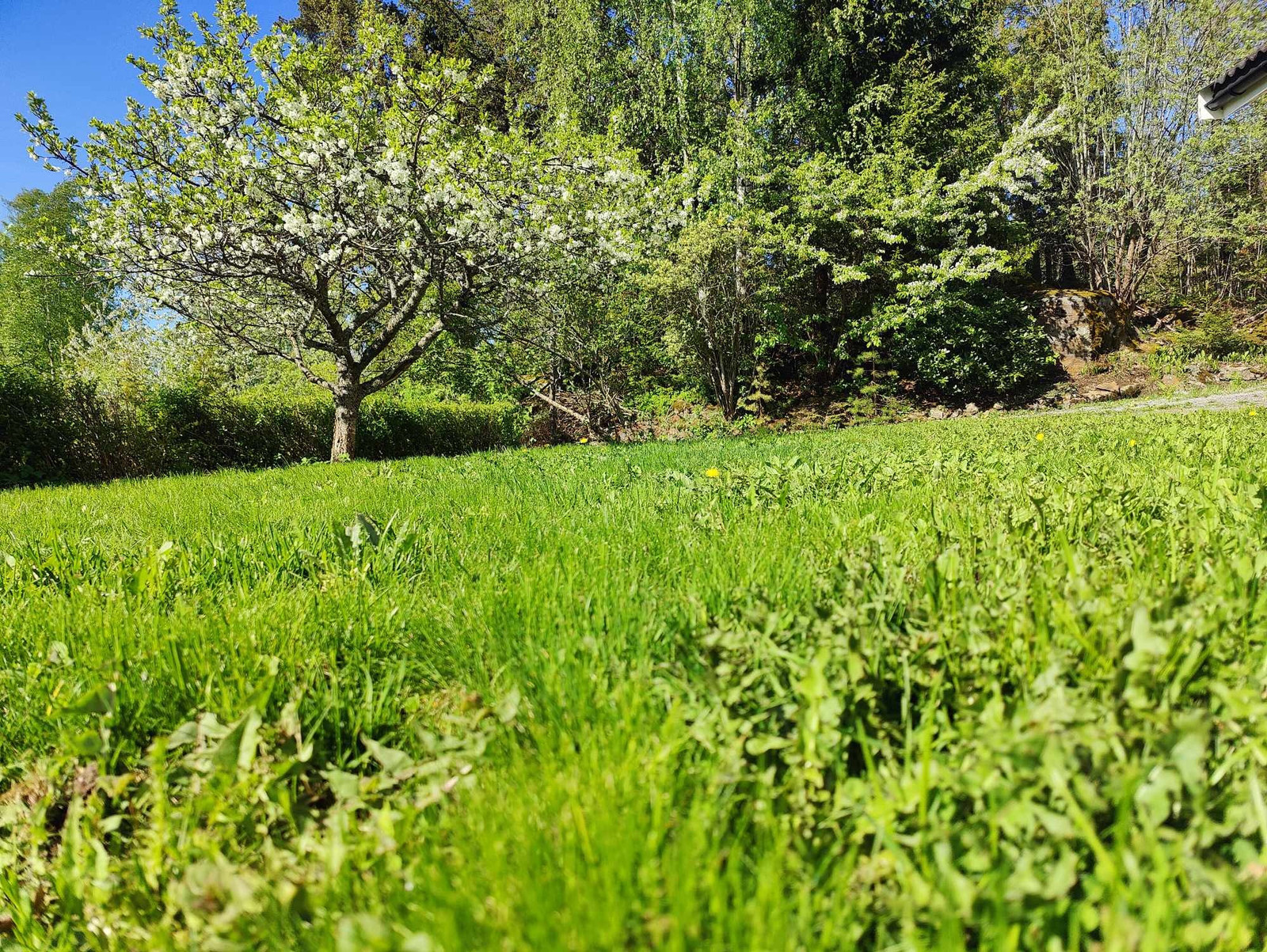 Flott og naturlig uteområde