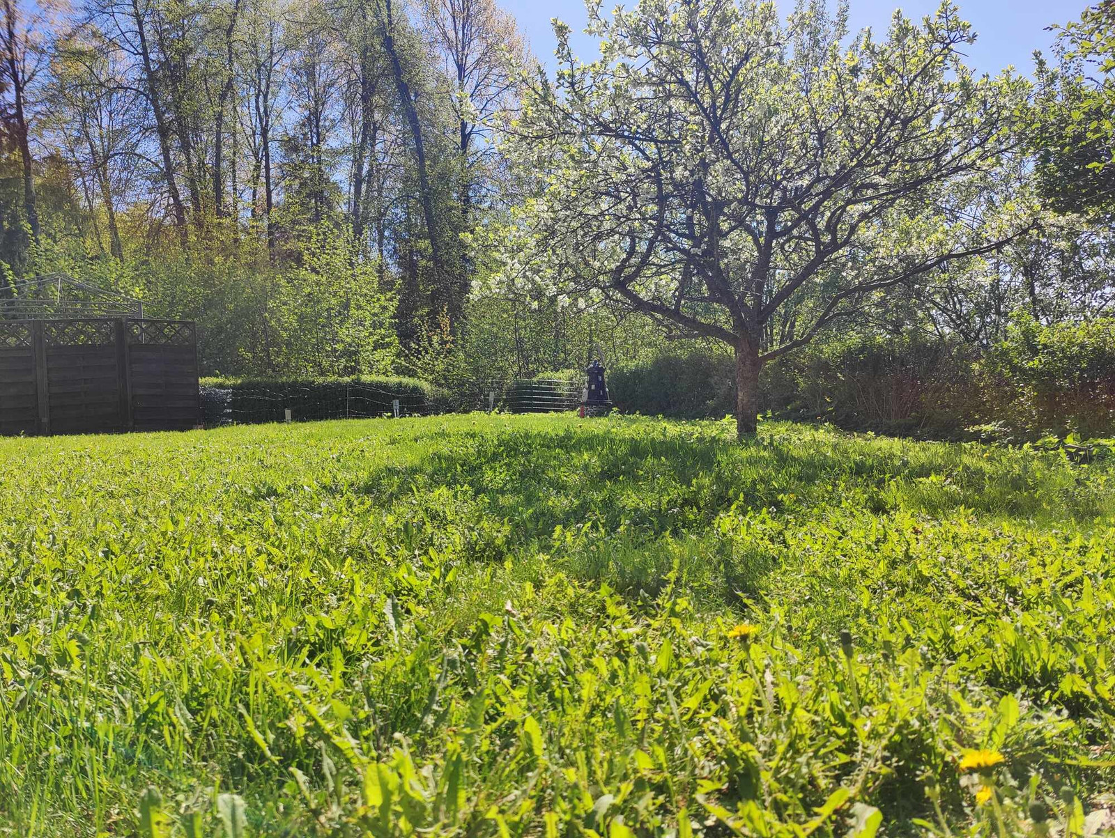 Flott uteområde