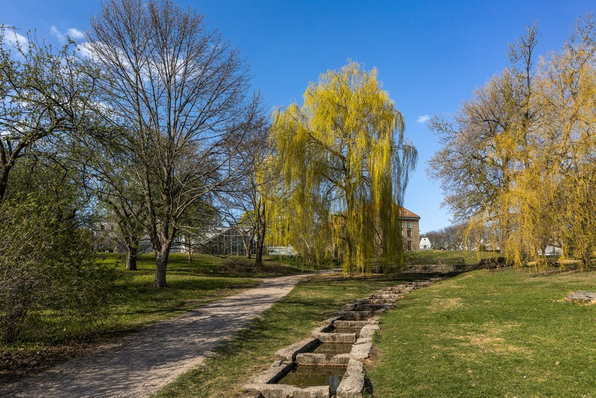 Botanisk hage rett rundt hjørnet