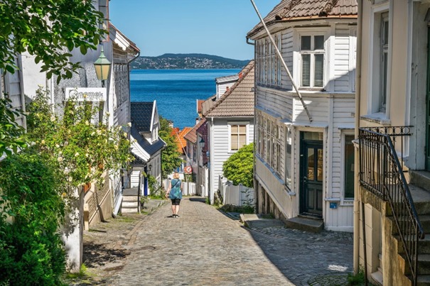 Skuteviksveien