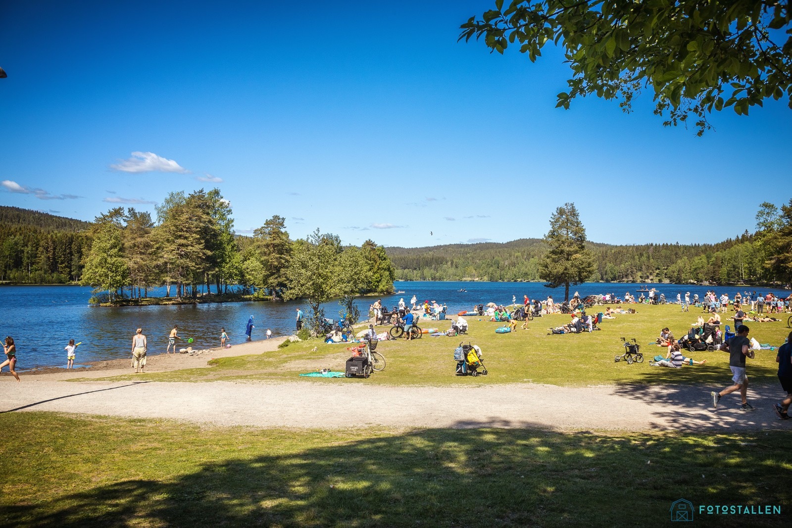 Sognsvann