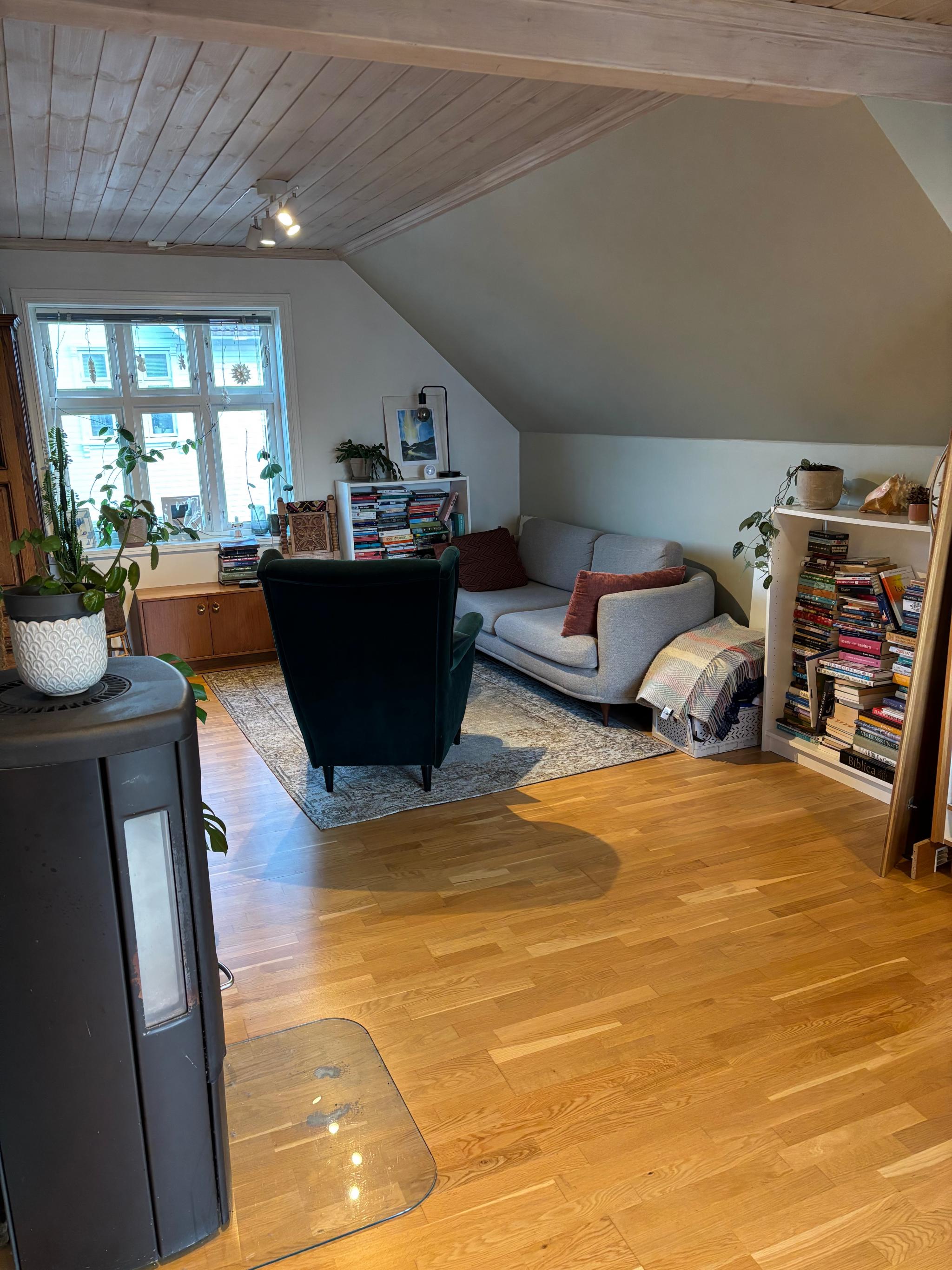 Koselig stue med peis 