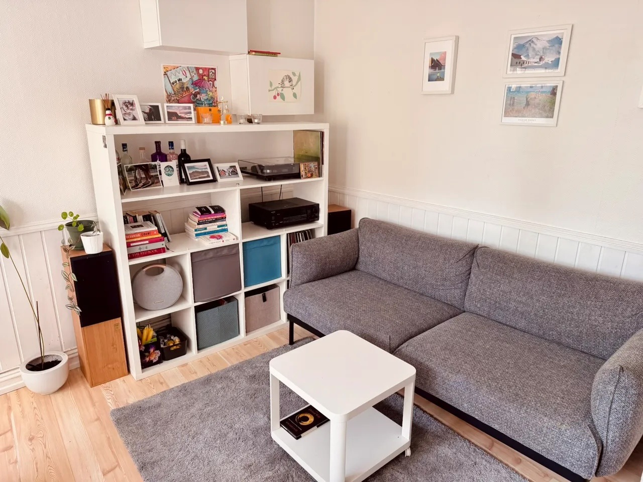 sofa