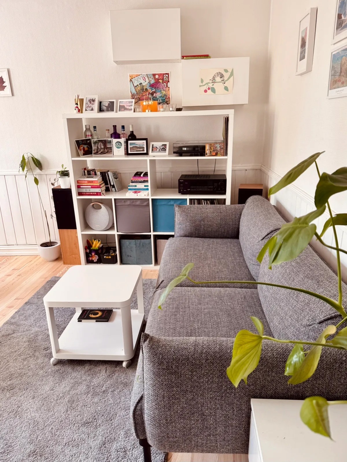 sofa