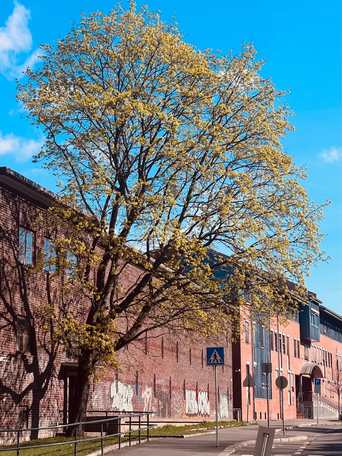 utstikten