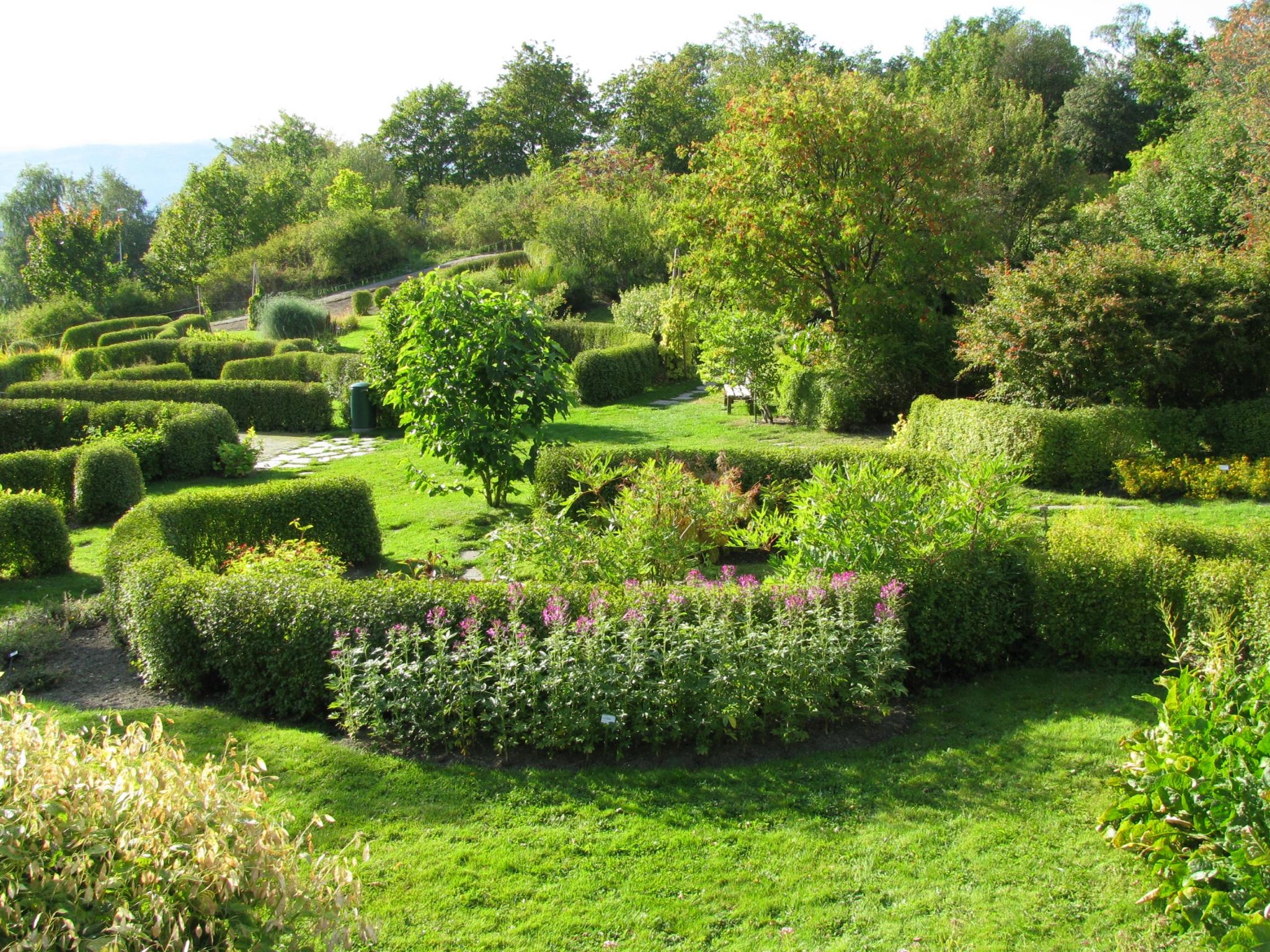 Naturskjønne omgivelser med Ringve botaniske hage