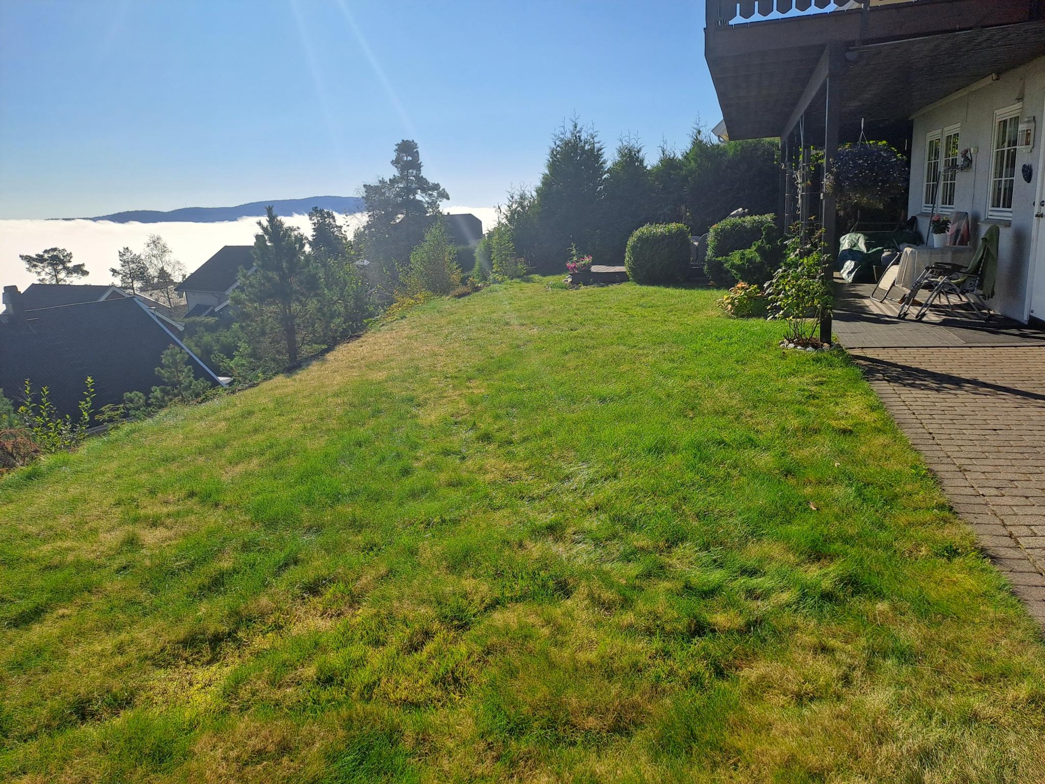 Høyt og fritt over tåka i Drammensfjorden.