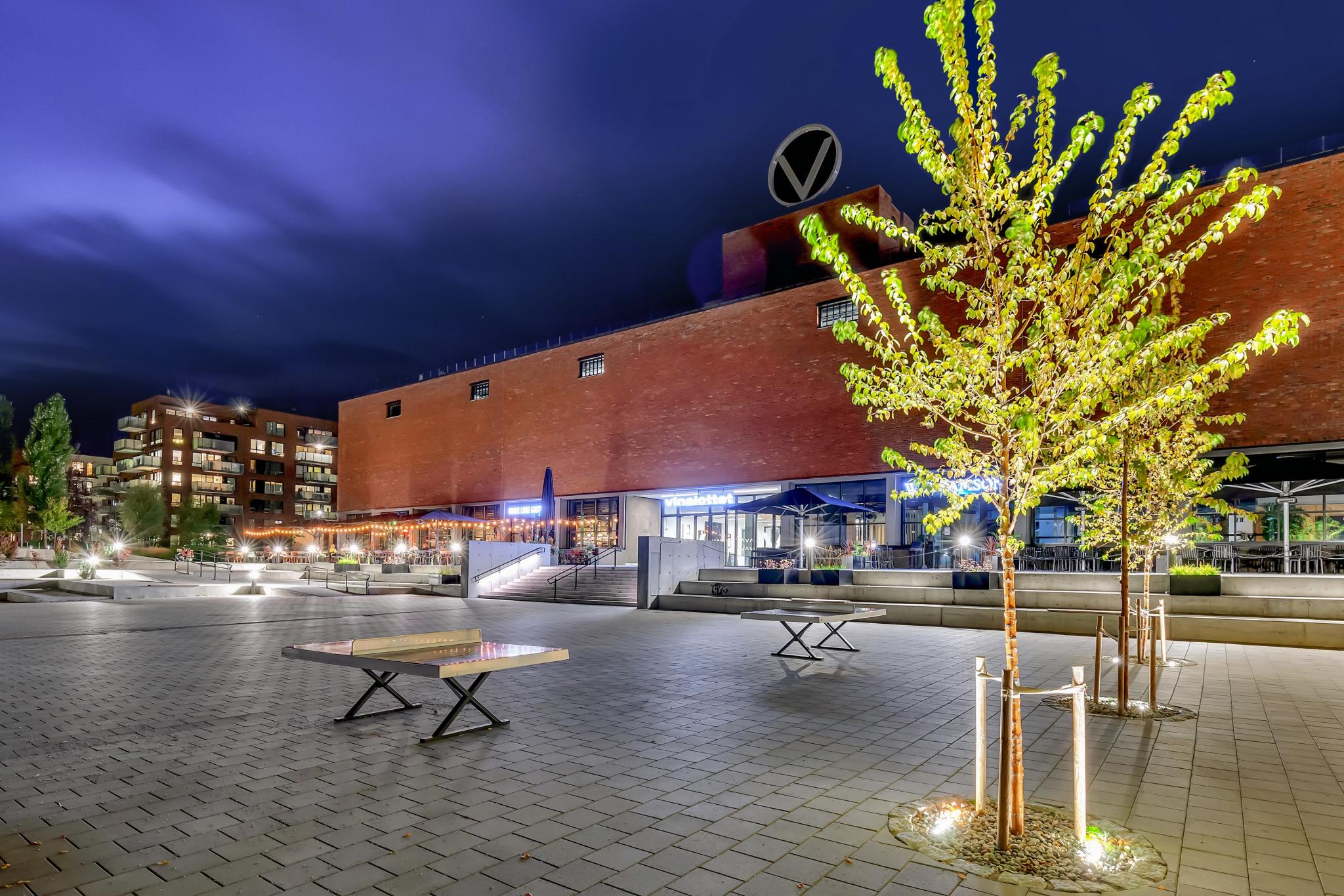 Vinslottet om natten