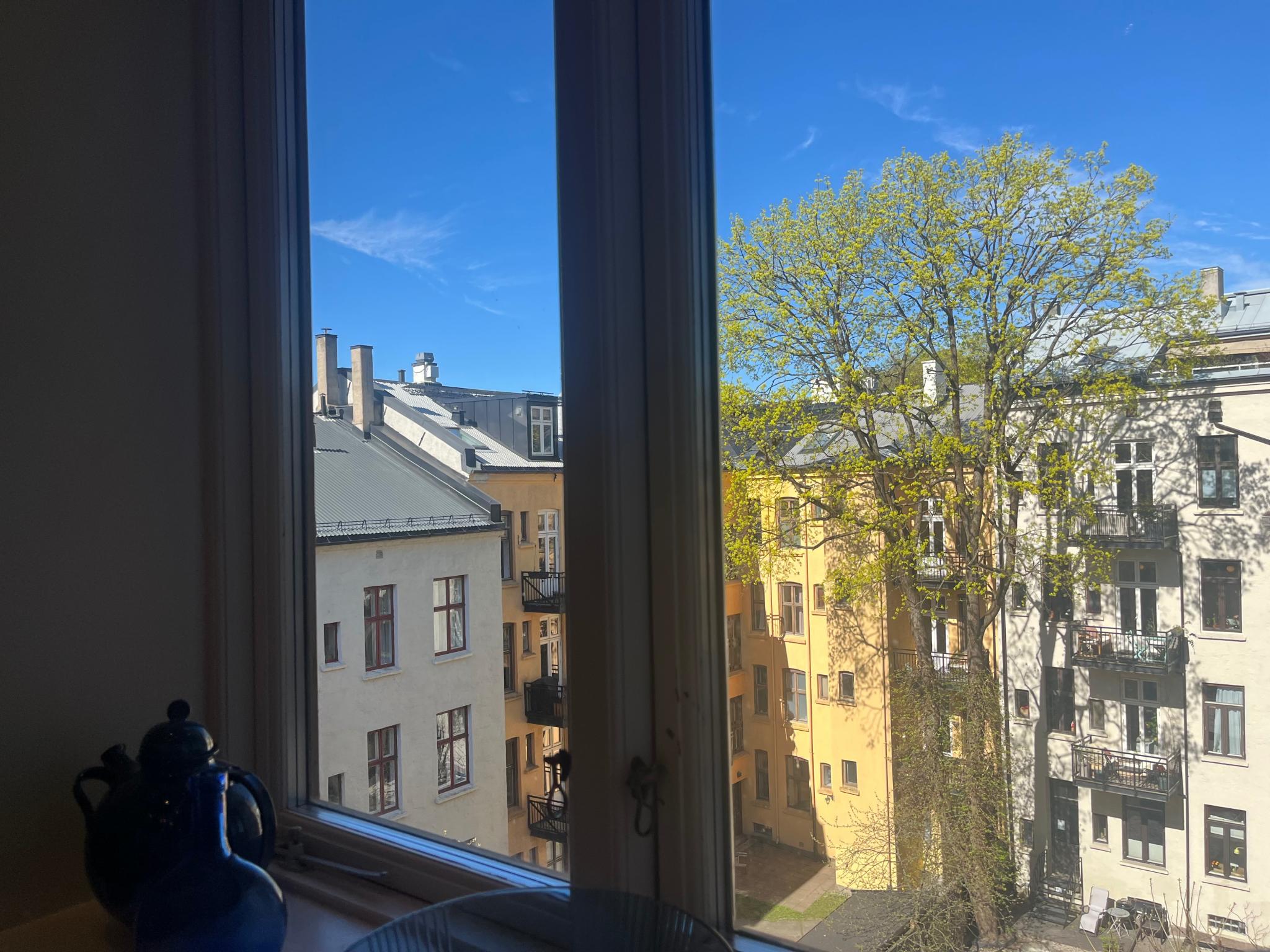 Utsikt fra kjøkkenvinduet 