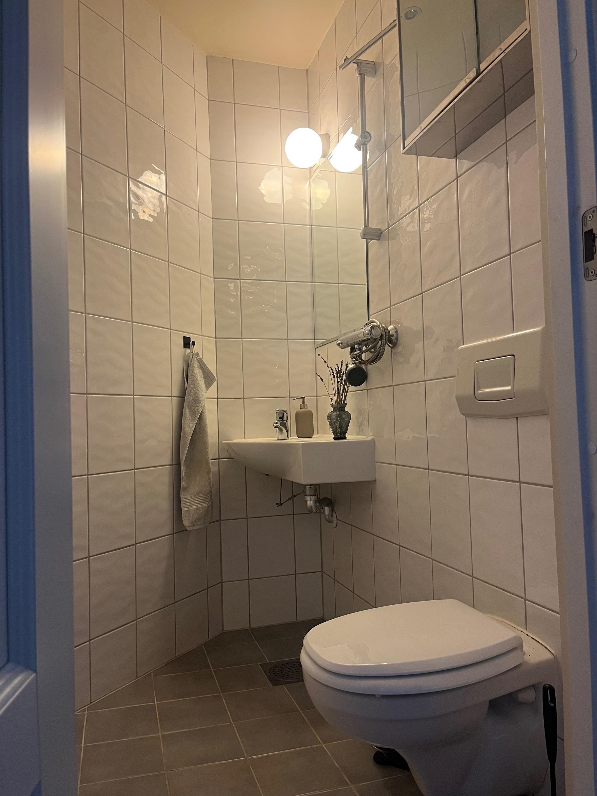 Bad 2 med toalett, liten håndvask og dusj
