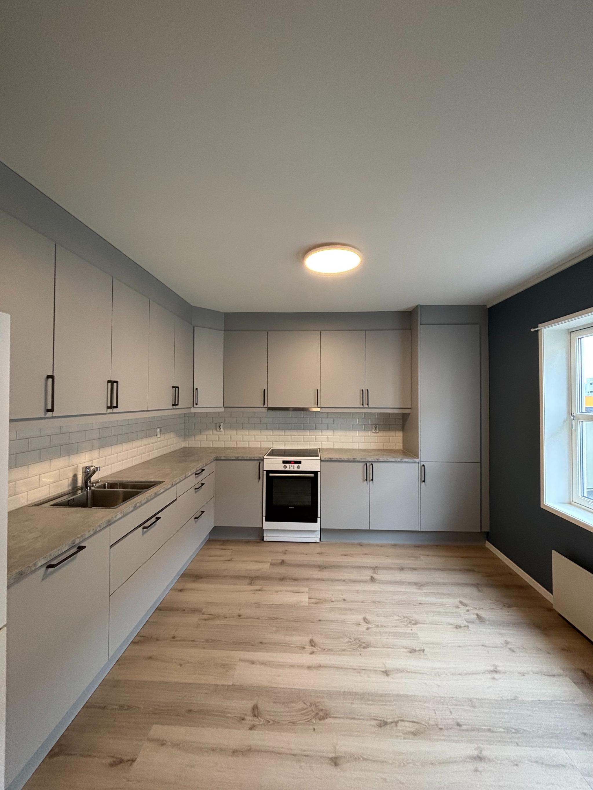 Nyoppusset kjøkken (Sigdal). Komfyr, oppvaskmaskin og kjøleskap.  