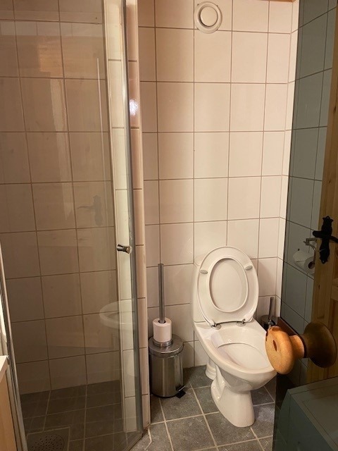 Toalett og dushjørne (tatt fra badstu)
