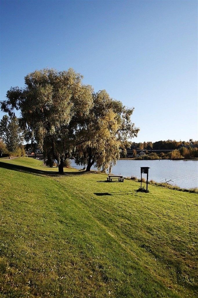 Idyllisk nærområde