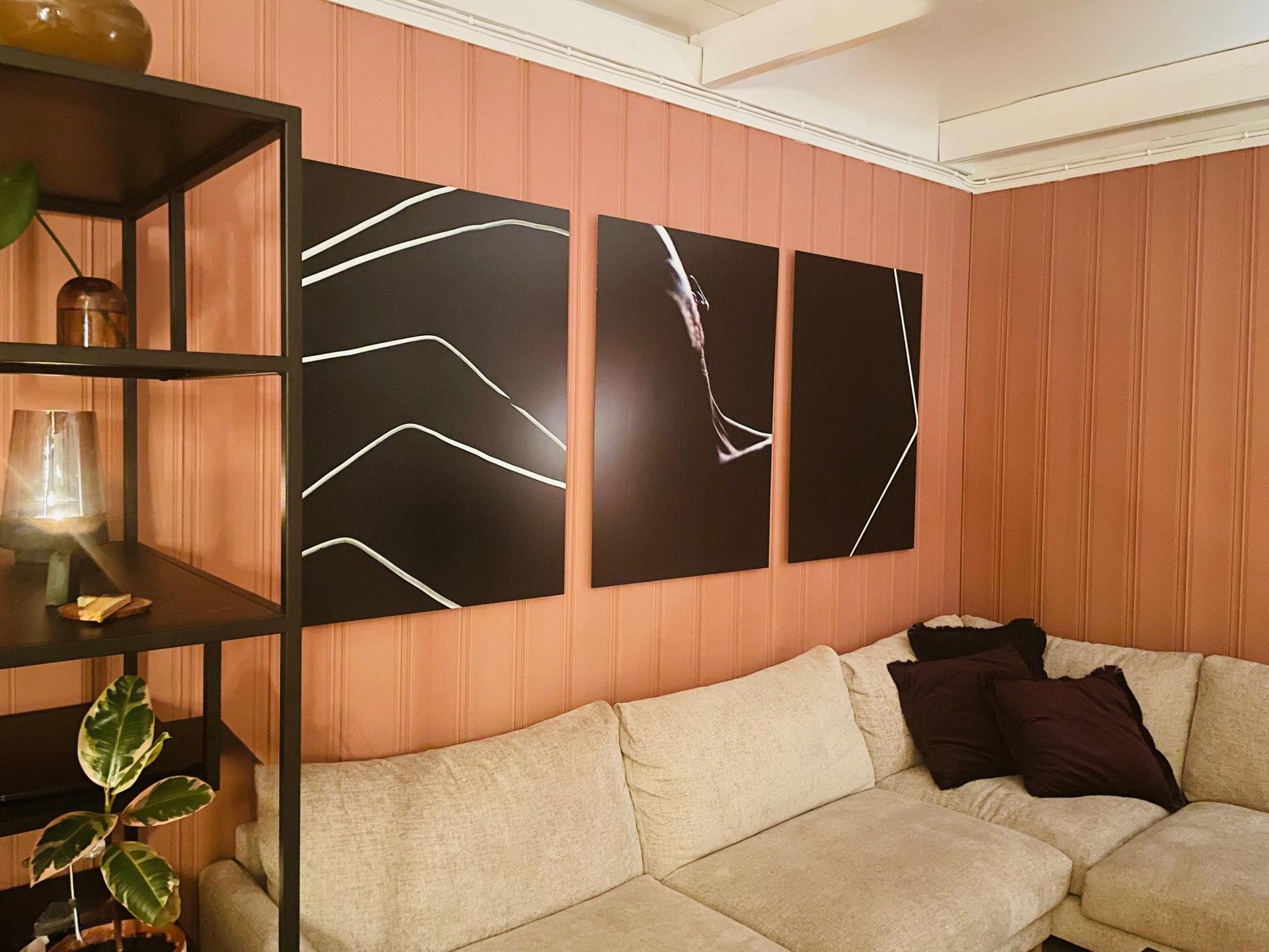 Stua/salongen med 1 år gammel sofa fra Bohus, meget komfortabel, med  fotokunst av den lokale fotokunstner ’naboen’