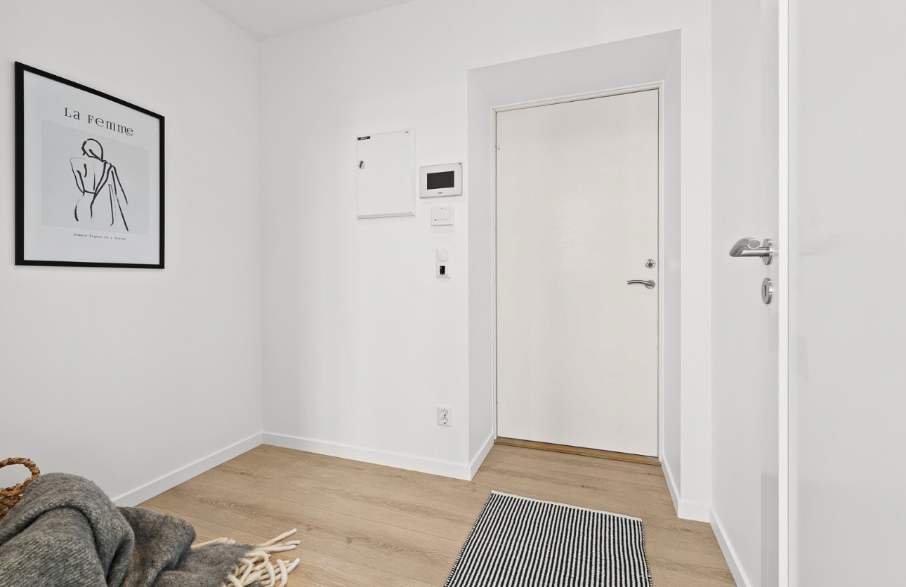 Inngangsdør, sikringsskap, gang