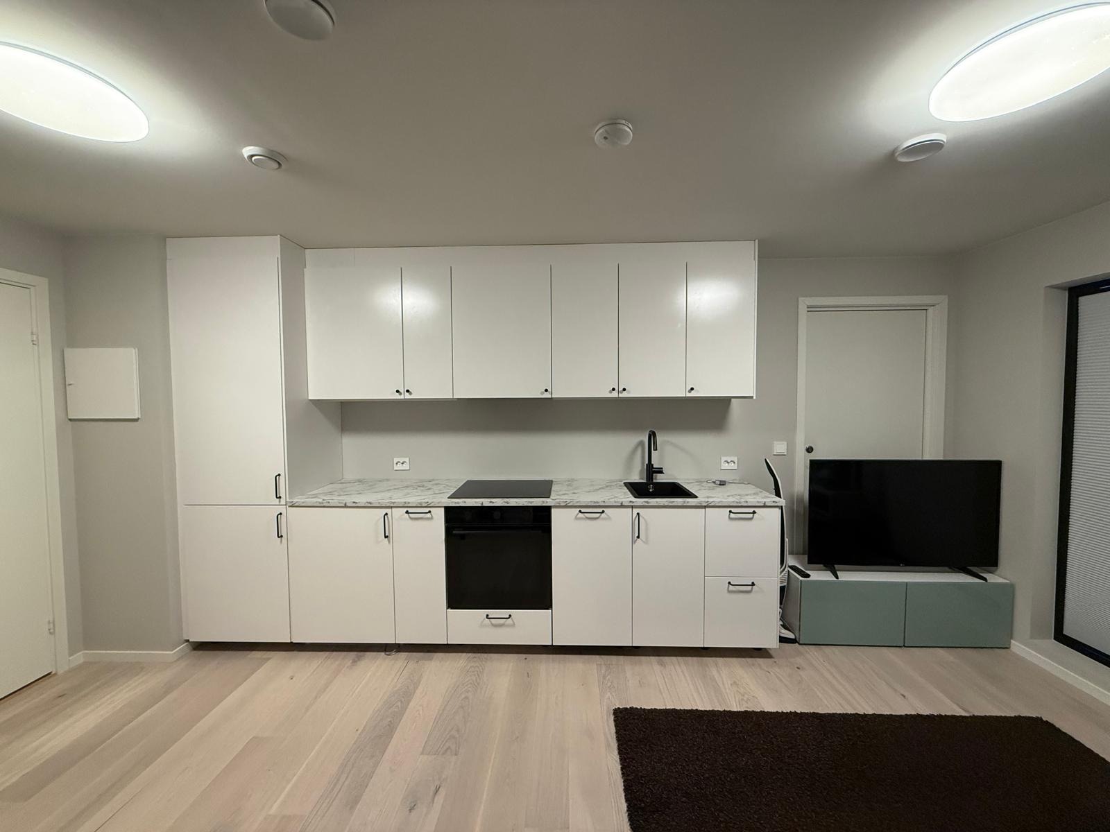 Kitchen with integrated appliances