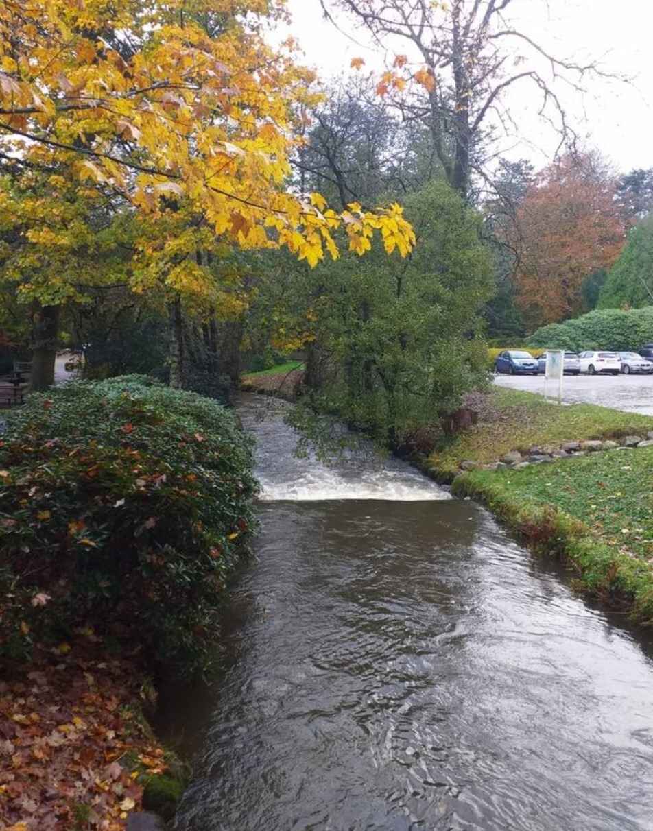 Vakre Sandvedparken turområde ligger kun 10 min gåavstand fra leiligheten.
